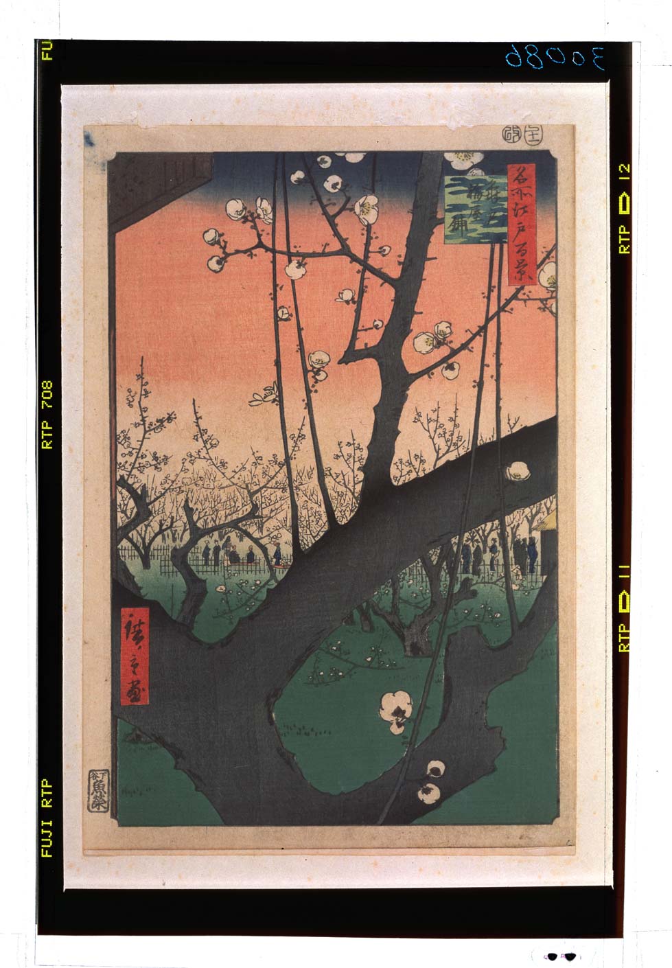 Utagawa Hiroshige: No.30 Kameido umeyashiki 亀戸梅屋敷 (The Plum 