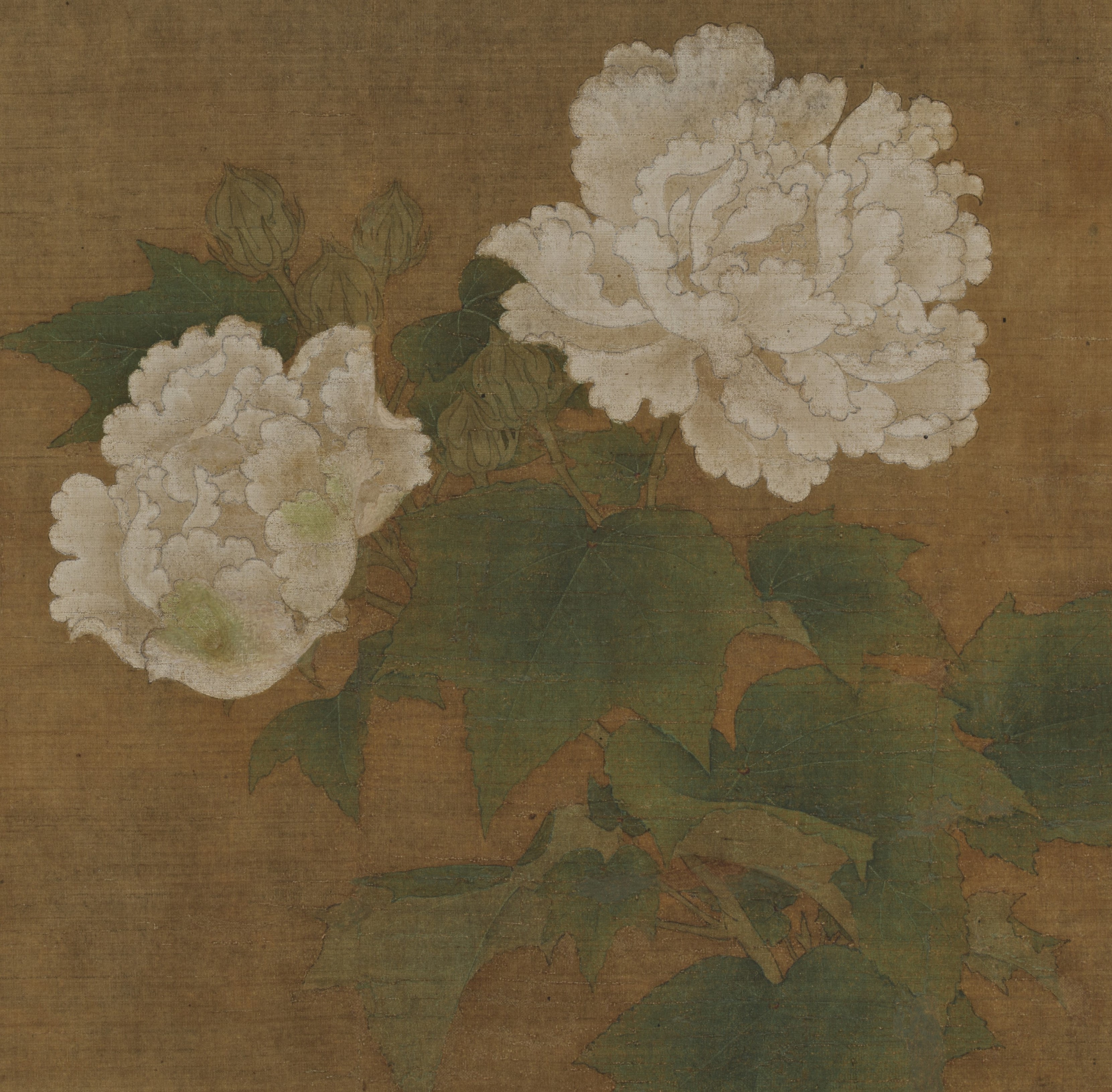 none image
