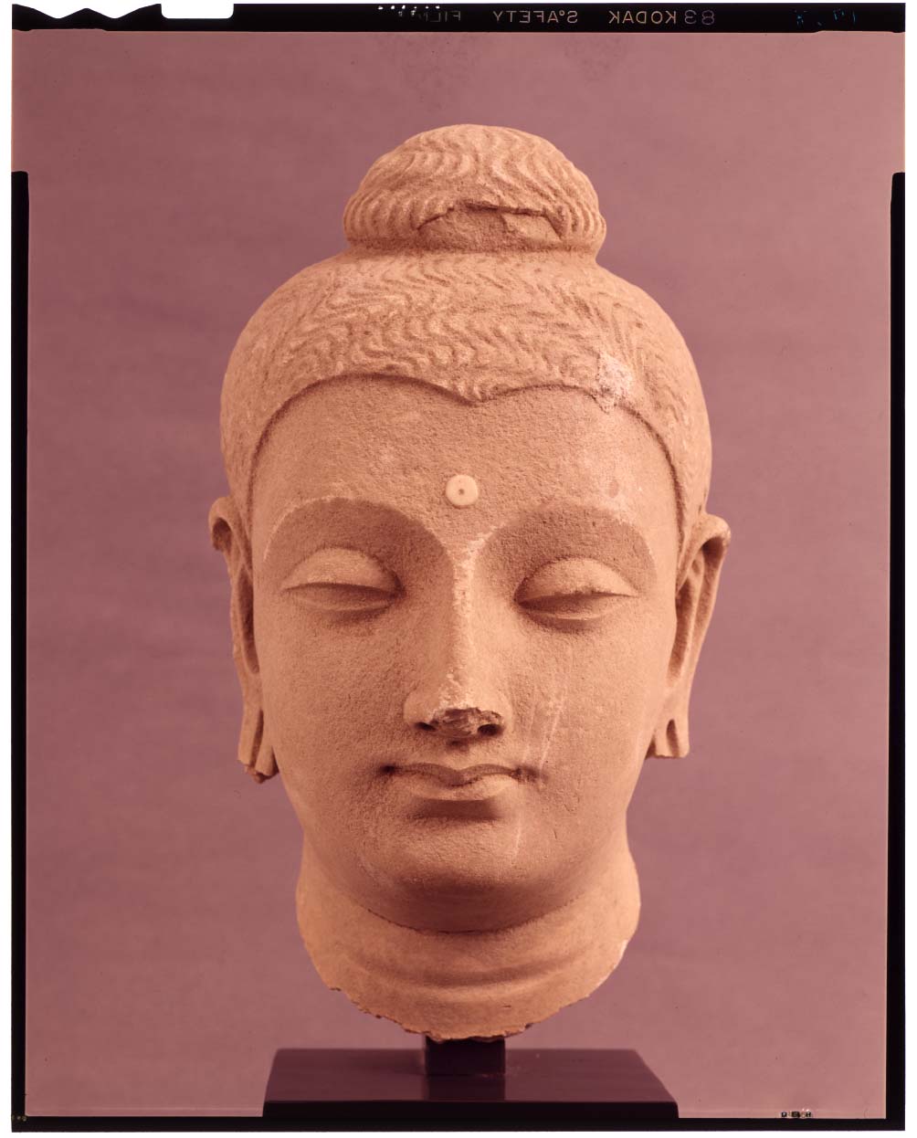 仏教仏頭部 - 小物入れ