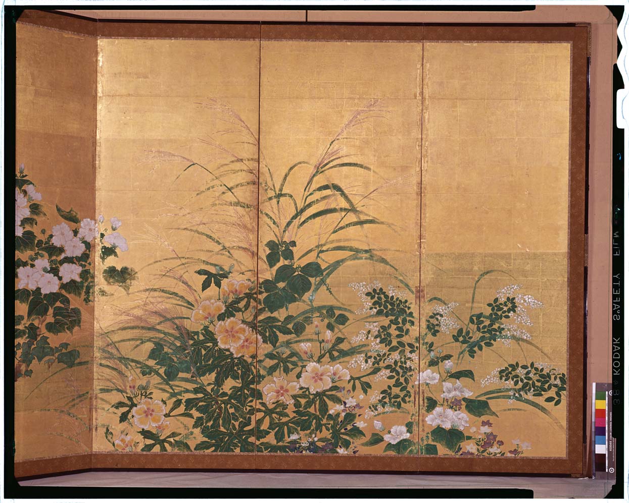 C0006650 秋草図屏風 - 東京国立博物館 画像検索