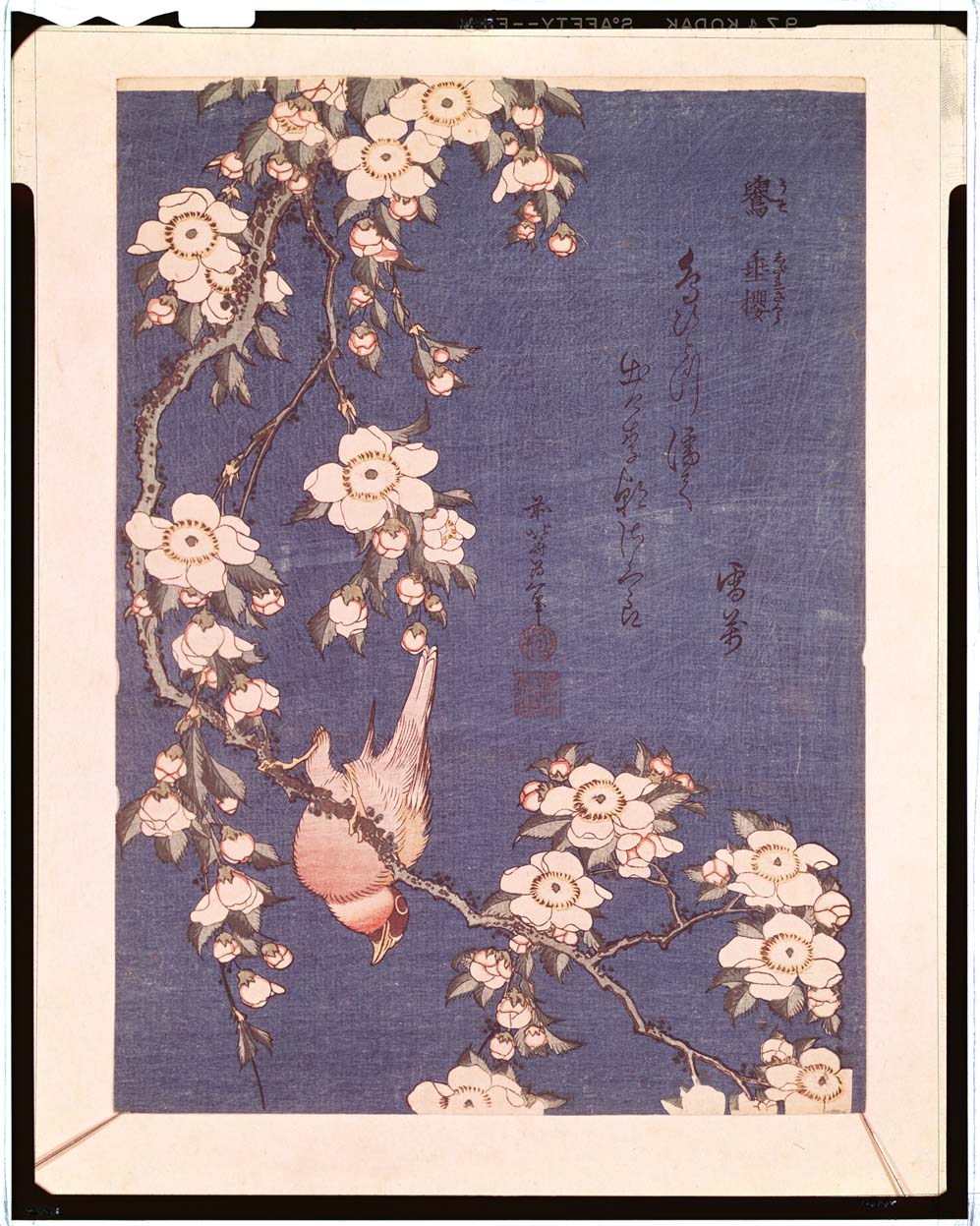 C0007073 鷽垂桜図 - 東京国立博物館 画像検索