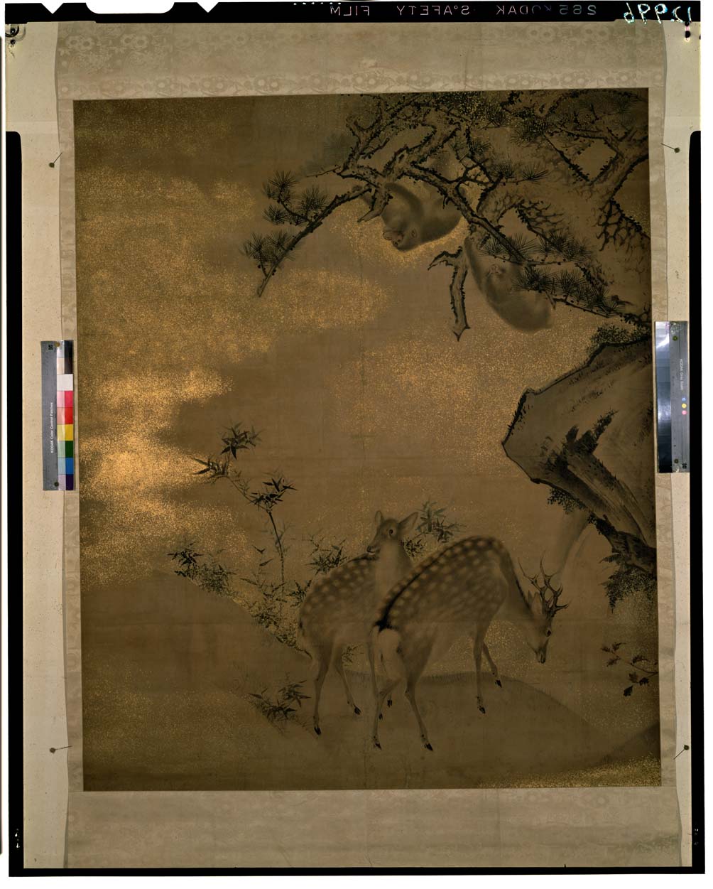 C0012996 秋山遊猿図 - 東京国立博物館 画像検索 C0012996 秋山遊猿図 - 東京国立博物館 画像検索