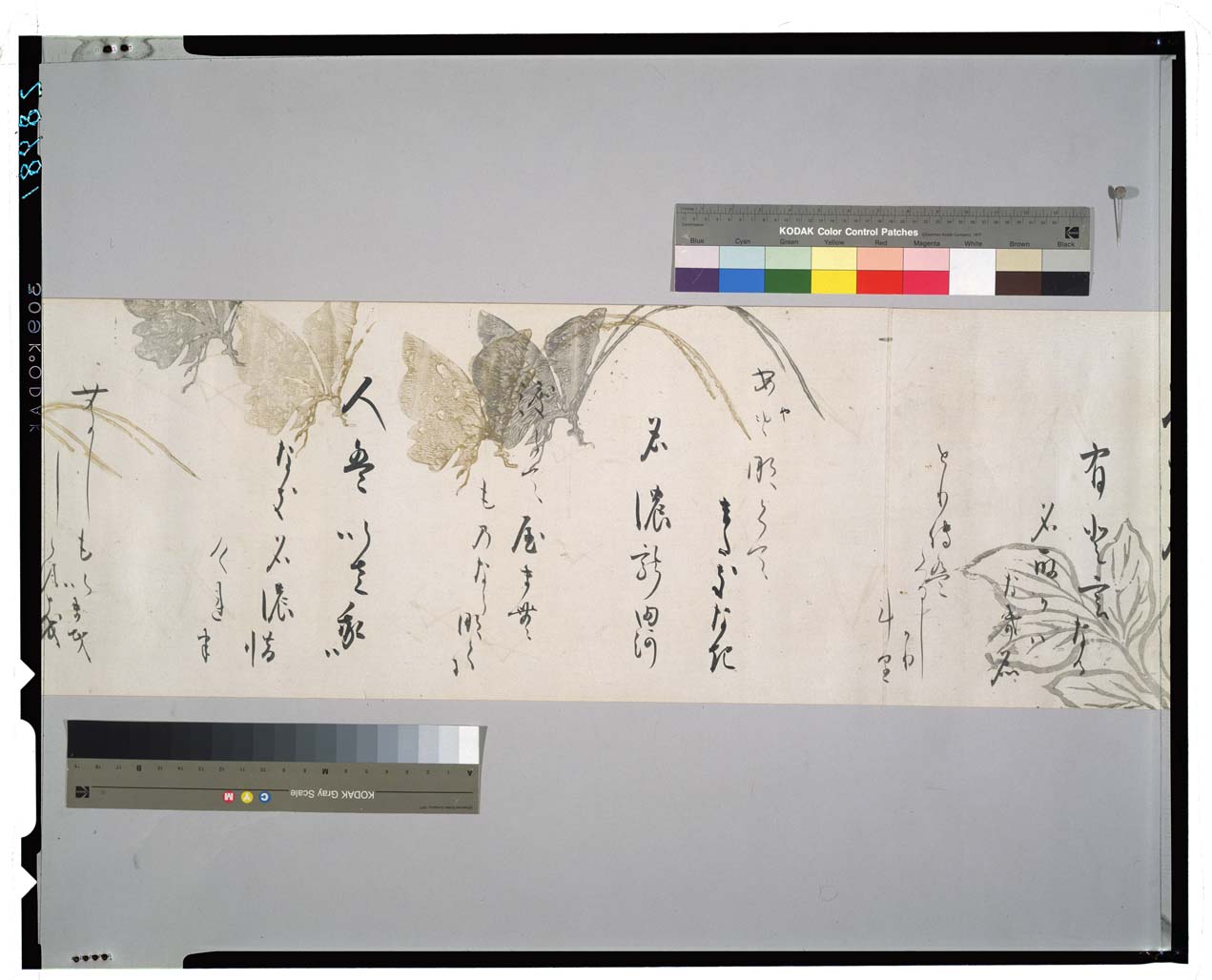 C0028981 摺下絵和歌巻 - 東京国立博物館 画像検索