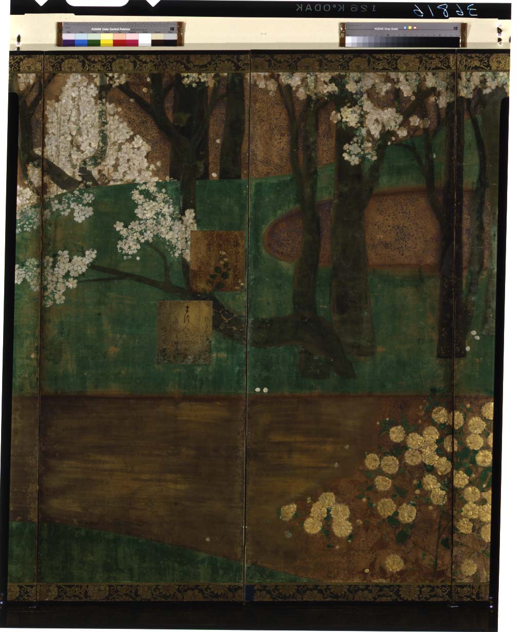 C0036816 色紙貼付桜山吹図屏風 - 東京国立博物館 画像検索 C0036816 色紙貼付桜山吹図屏風 - 東京国立博物館 画像検索