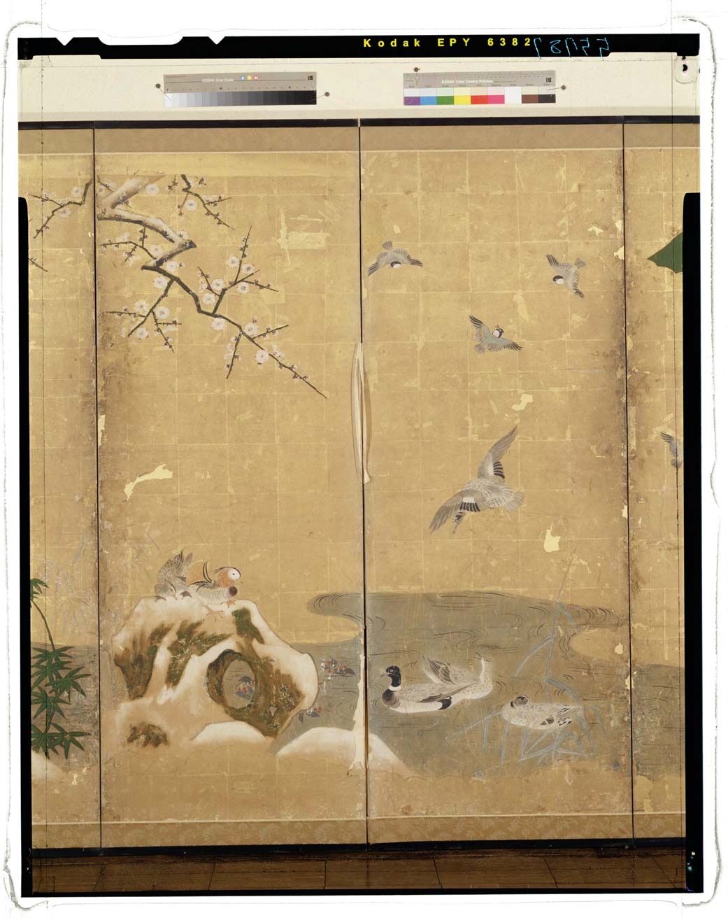 ☆掛軸☆ 秋山人 『雪に鷹』 共箱 【花鳥図 冬】 日本画