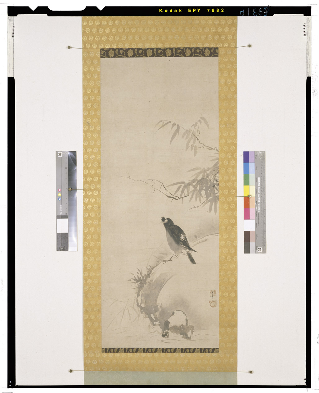 C0083316 叭々鳥・鶺鴒図 - 東京国立博物館 画像検索 C0083316 叭々鳥・鶺鴒図 - 東京国立博物館 画像検索