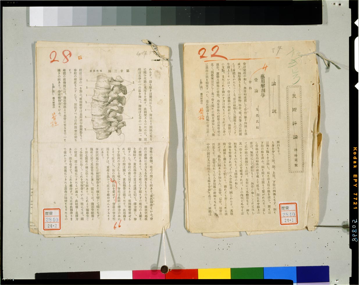C0086805 芸用解剖学講義草稿等 - 東京国立博物館 画像検索