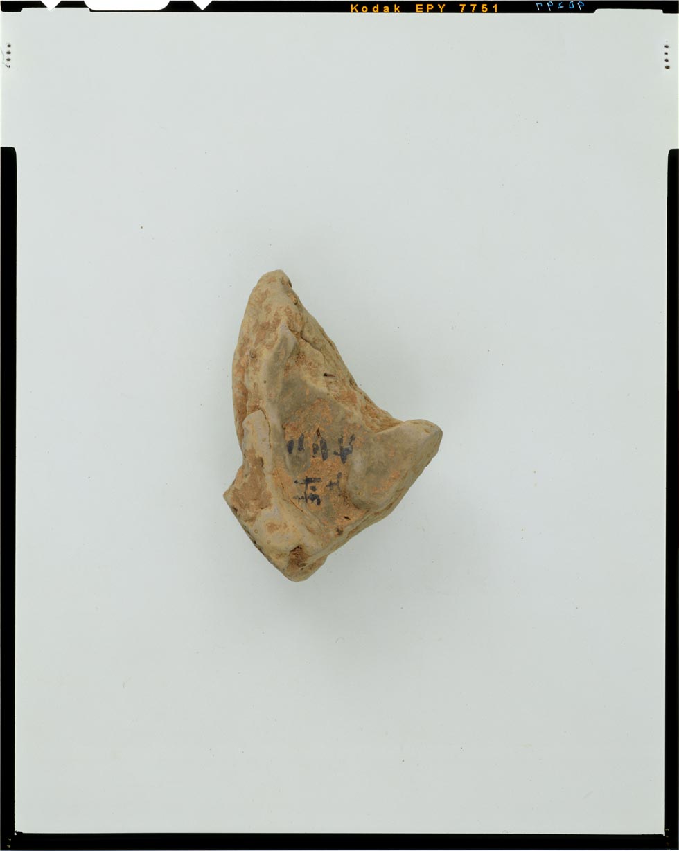 C0090297 瓦当片 東京国立博物館 画像検索