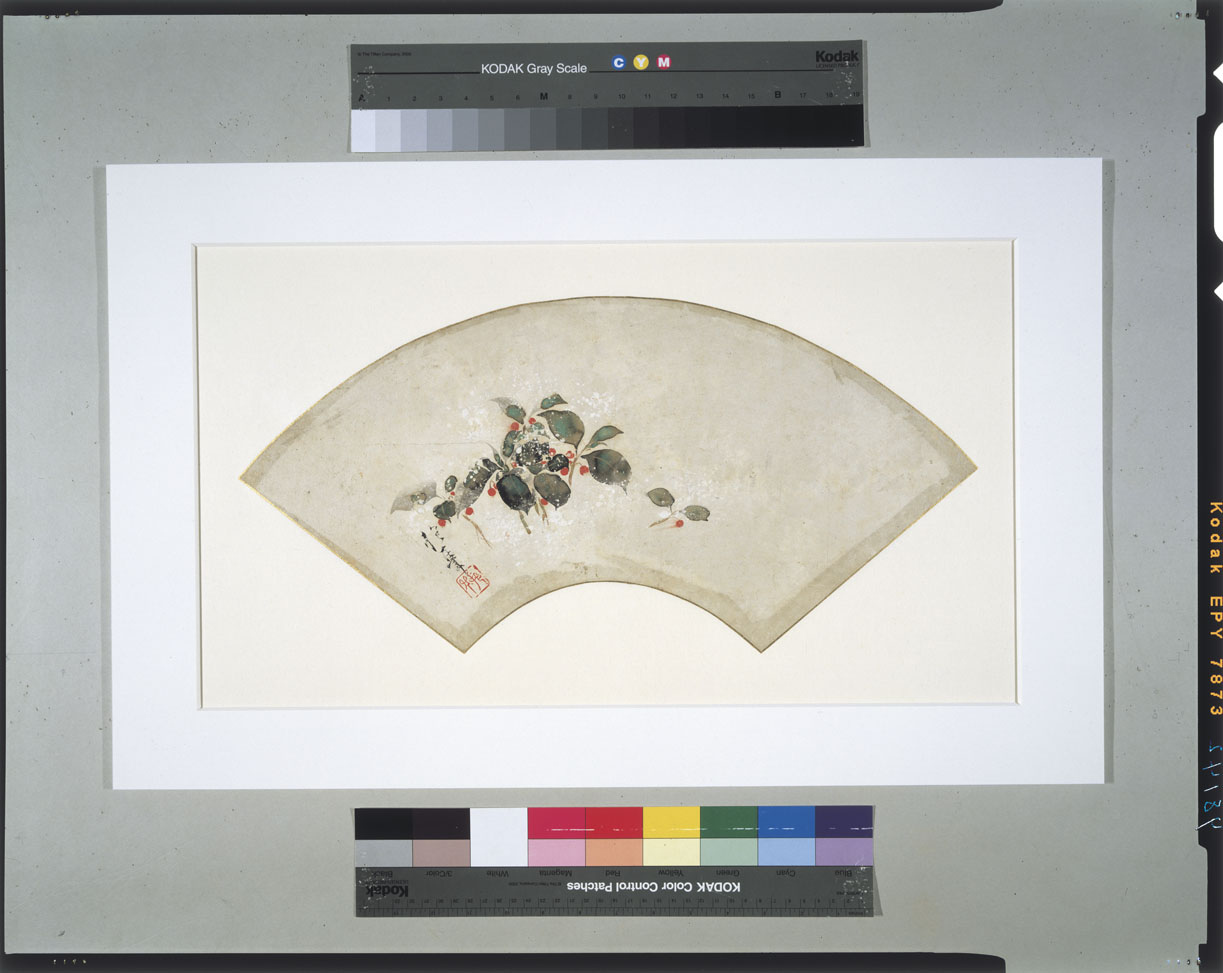 C0098142 扇面雑画_雪中藪柑子 - 東京国立博物館 画像検索 C0098142 扇面雑画_雪中藪柑子 - 東京国立博物館 画像検索