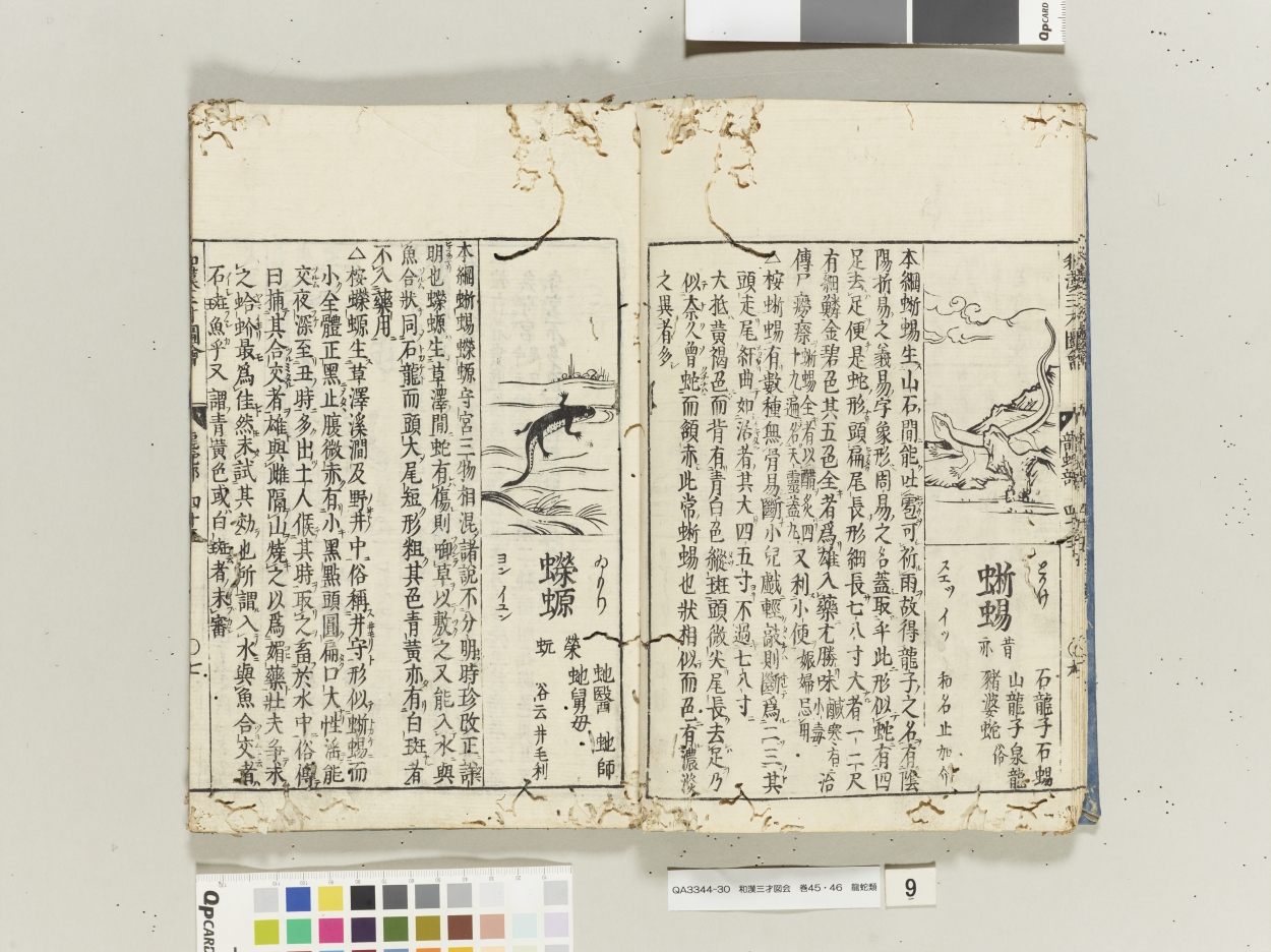 E0023607 和漢三才図会 - 東京国立博物館 画像検索